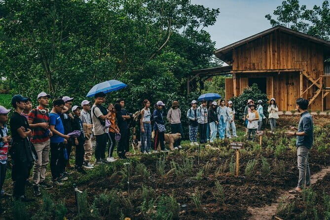 Scented Candle Workshop in Twin Beans Farm Da Lat - The Candle-Making Process