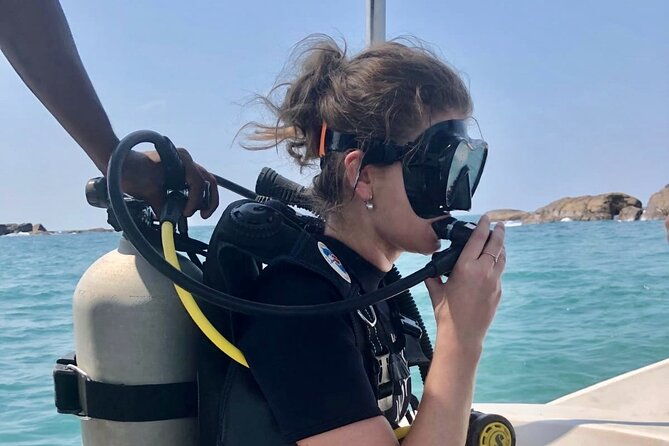 Scuba Diving For Beginners - The Value of the Experience