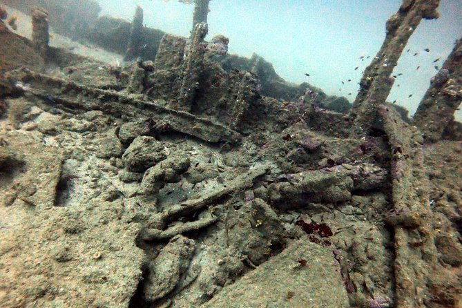Scuba Diving in Unawatuna - Authentic Experiences from Reviewers