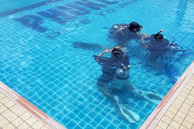 Scuba diving lesson for beginners (1 hour ) - Who Will Benefit Most from This Experience?