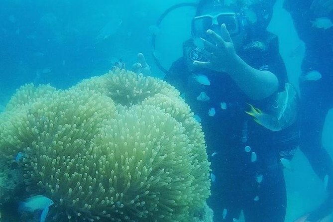 Scuba Diving (shore Dive) at Havelock Islands - Who Should Book This Tour?
