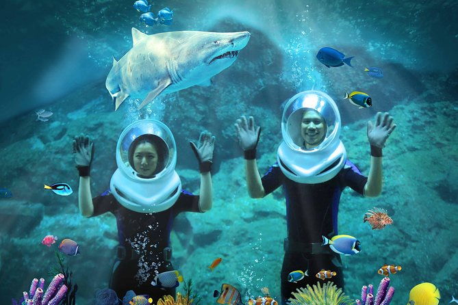 SEA LIFE & Madame Tussauds: Ultimate Bangkok Combo Ticket - The Sum Up: Is This Combo Worth It?