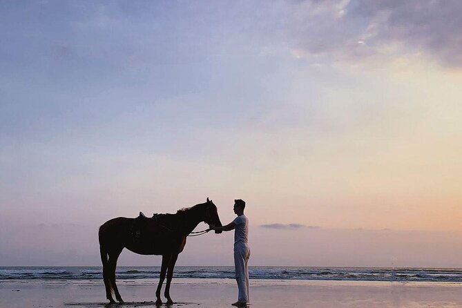 Seminyak beach Private Bali Horse Riding - FAQ
