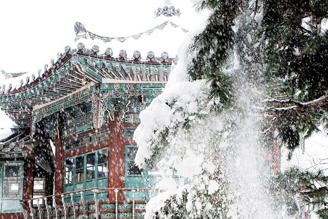 Seoul Private RV tour, explore real Korea from Past to Future - Practical Tips for Your Tour