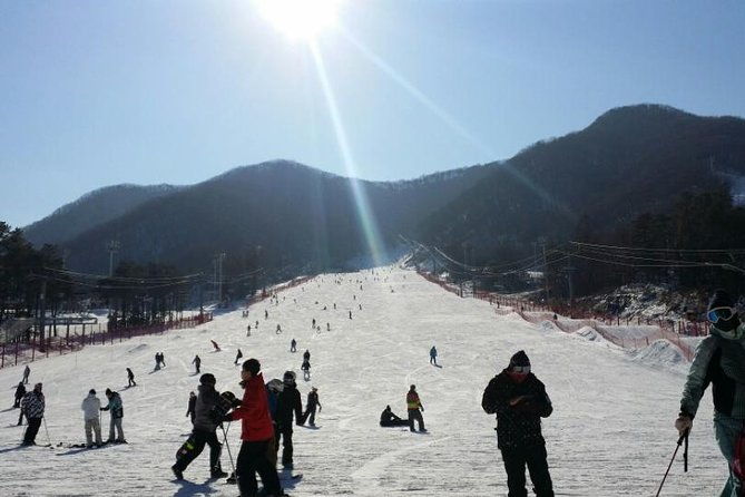 Seoul Ski Tour at Jisan Forest Resort - Final Thoughts