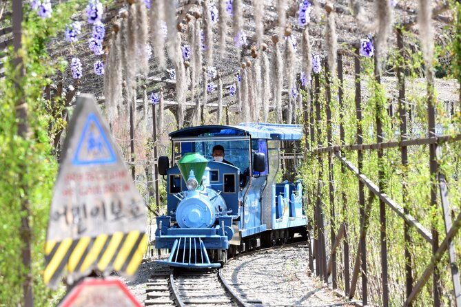 Seoul Vicinity 5 in 1: Nami Island, Garden of Morning Calm & More - Price & Value