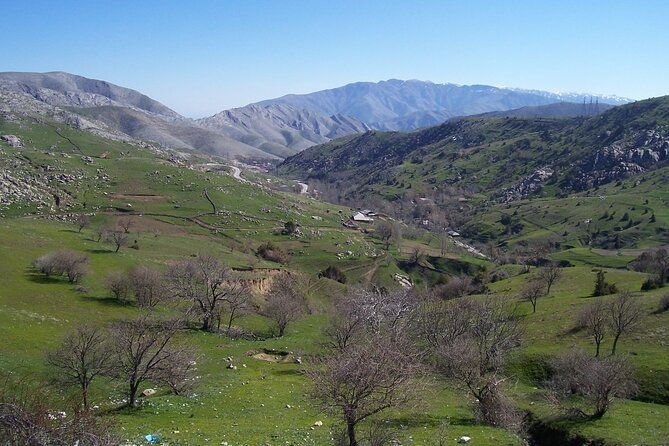 Shahrisabz Private Excursion From Samarkand. - Who Should Book This Tour?