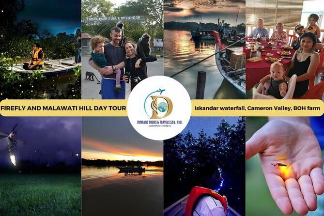 Shared Fireflies Tour with Blue Tears and Seafood Dinner - FAQs