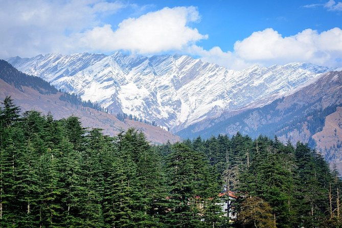 Shimla Kullu Manali Private 6 Days Himachal Tour From Chandigarh - Who Is This Tour Best For?