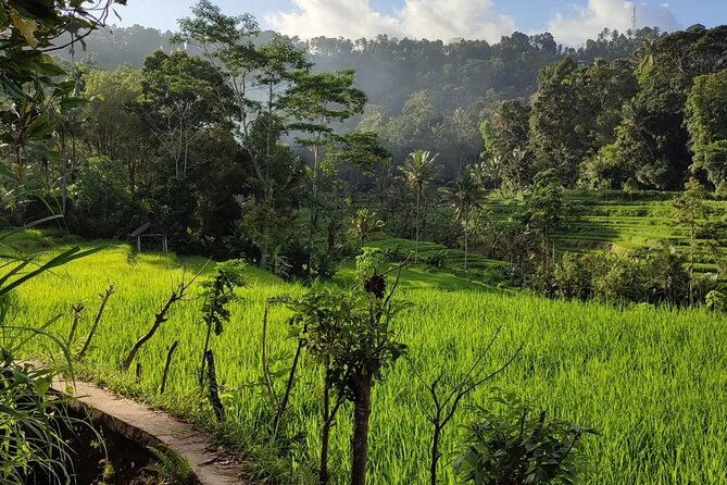 Sidemen Trekking: A Walk from Different Perspective - Practical Value and Overall Impression