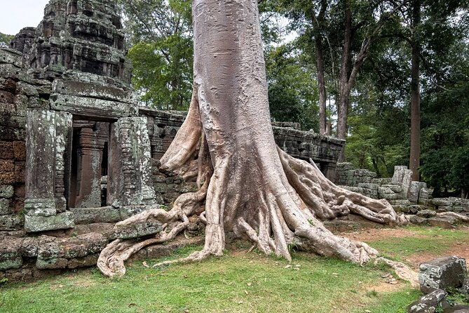 Siem Reap: Angkor Sunrise Tour by Bike with Breakfast & Lunch - Who Should Book This Tour?