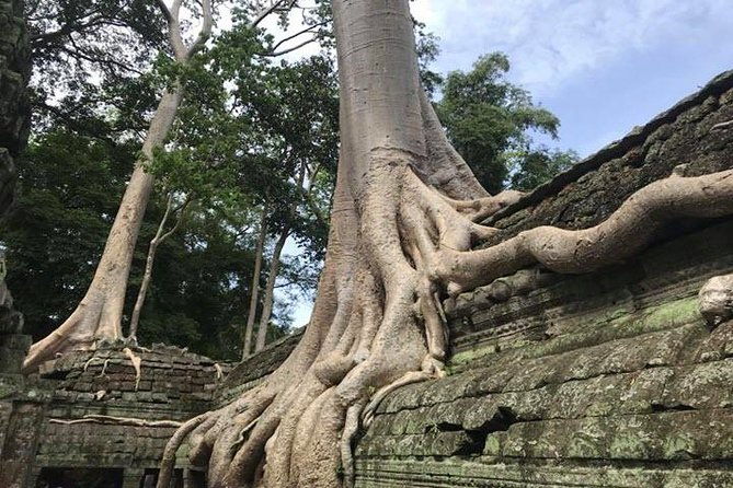 Siem Reap Angkor Wat Guide Tour Small Group - Practical Details and Tips