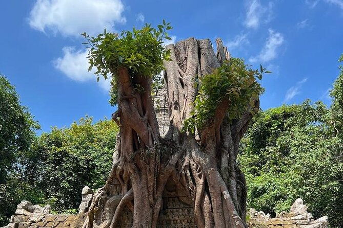 Siem Reap: Two Days Private Angkor Sunrise & Sunset Tour - Who Is This Tour Best For?