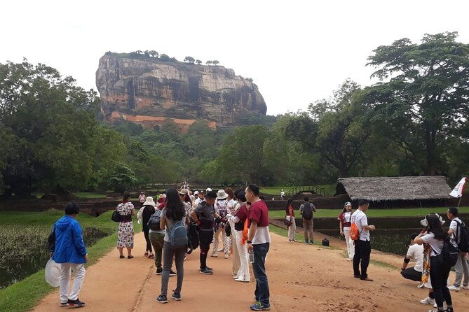 Sigiriya, Dambulla and Minneriya National Park Private Tour In - FAQs