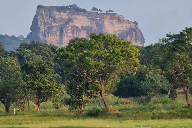 Sigiriya & Dambulla Cave Temple Day Trip from Colombo - The Value of the Tour