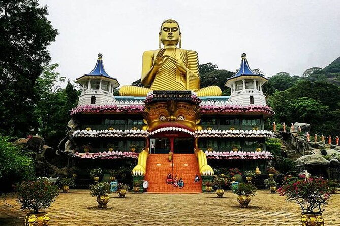 Sigiriya Day Trip with Experts - Transportation and Overall Experience