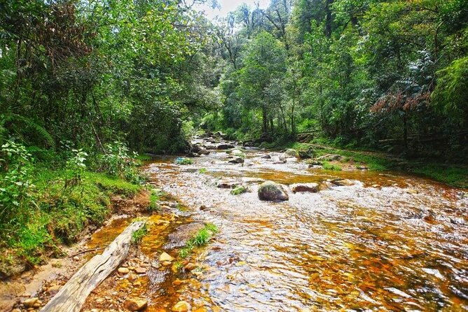 Silver and Love Waterfall, Lonely Tree Private Tour By Car - Authentic Traveler Insights