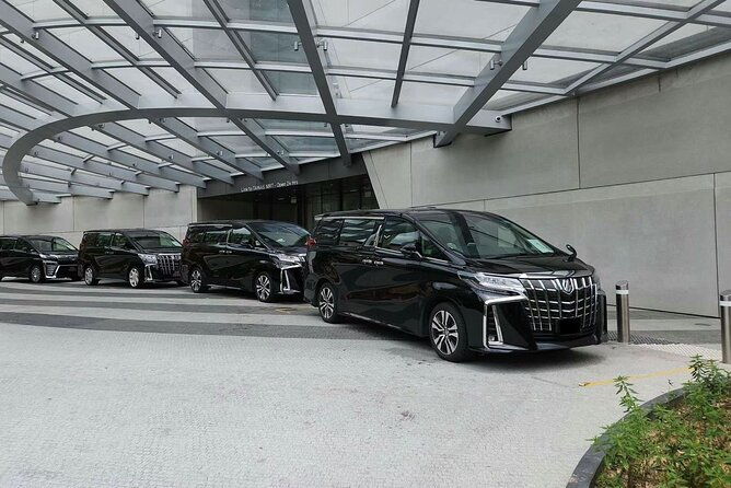 Singapore: Airport/Seaport Arrival Transfer + Meet & Greet - The Experience in Practice