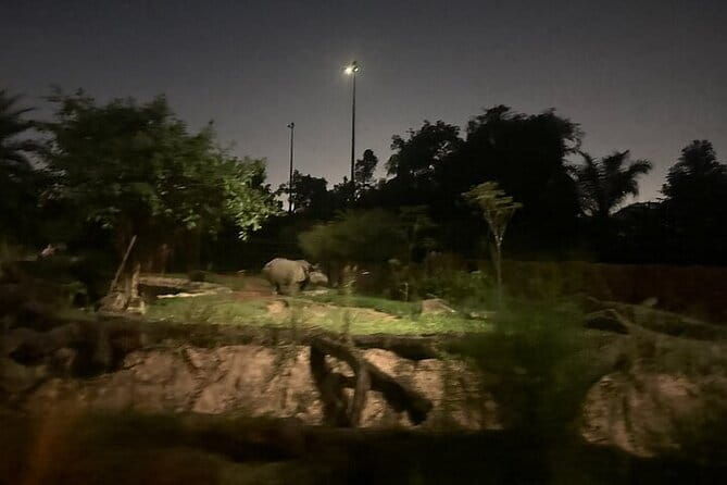 Singapore Night Safari - Is the Singapore Night Safari Worth It?