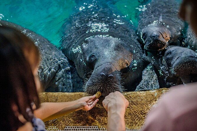 Singapore: River Wonders Entry Ticket - FAQs About Singapore: River Wonders Entry Ticket