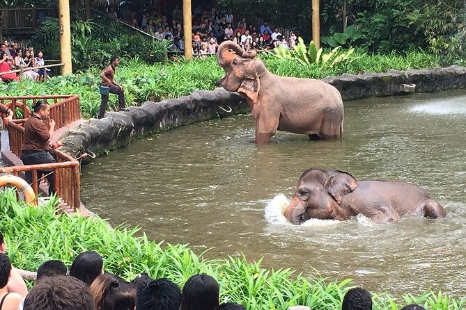 Singapore Zoo & Night Safari Day ( Tickets & Transfer ) - FAQ