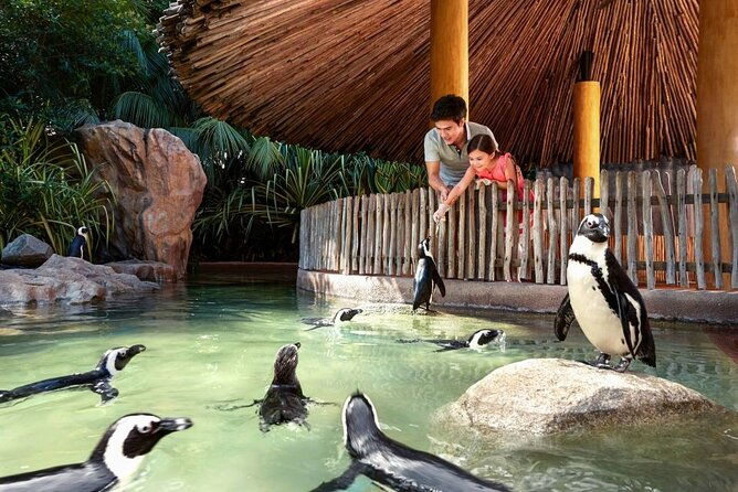 Singapore Zoo - The Sum Up