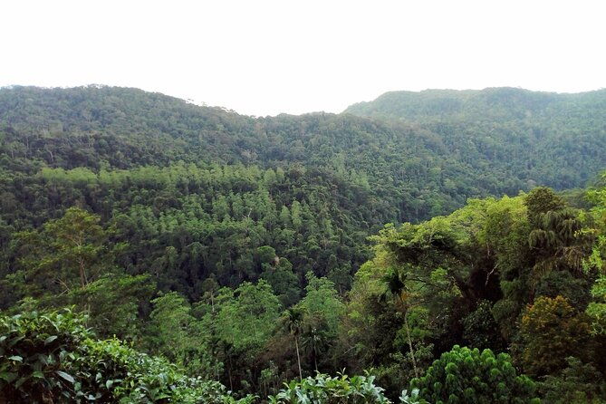 Sinharaja Rainforest & Udawalawe Safari - 2 Days, All Inclusive - FAQs