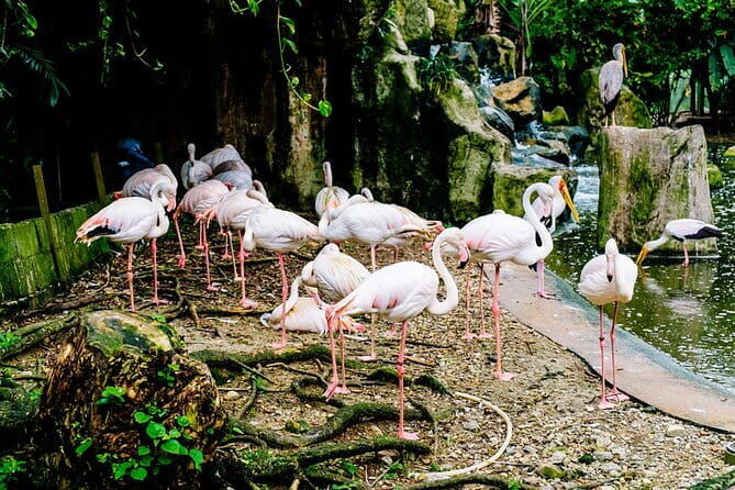 Sky Mirror Experiences at Kuala Selangor plus Batu Caves Stopover - Practical Details: What to Expect