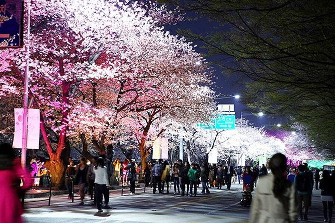 Small Group 7D Korea package Tour with Seoul Gyeongju Busan Jeju - Day 4: Gyeongju’s Royal Treasures and Historical Sites
