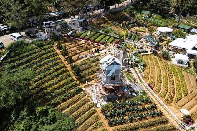 Small Group Cebu City And Uphill Mountain Tour - Who Will Love This Tour?