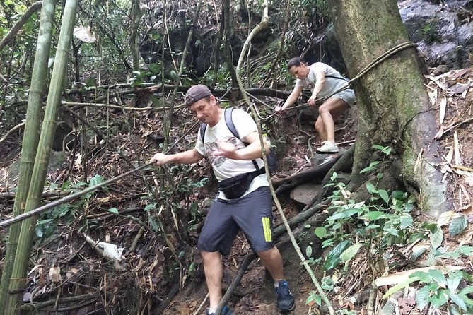 Small-Group Jungle Hiking Excursion in Khao Phra Teaw Park - Detailed Breakdown of the Itinerary
