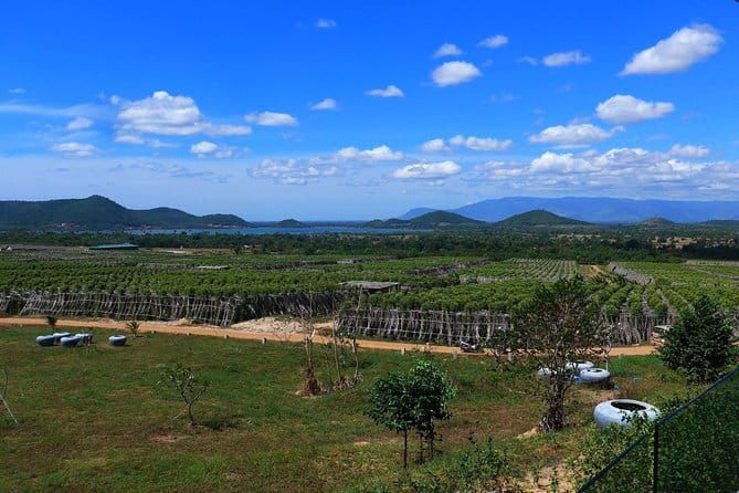 Small-Group Sihanoukville City Tour from Cruise Port - Final Verdict