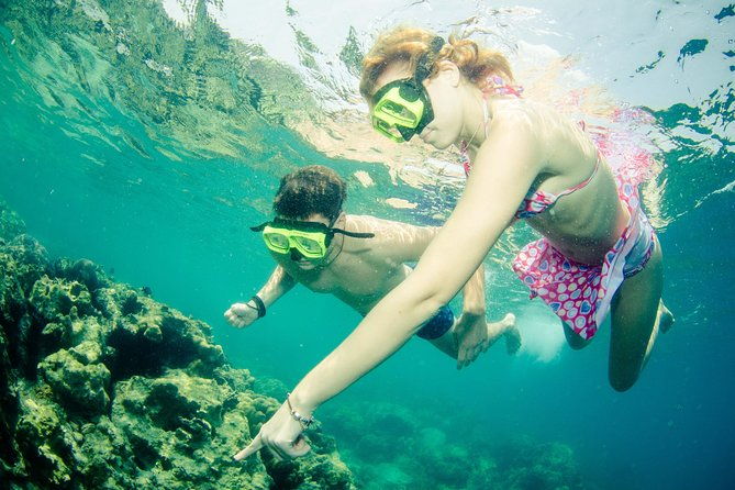 Snorkeling Adventure at Koh Chang  Departing from Koh Chang - Detailed Itinerary and Highlights