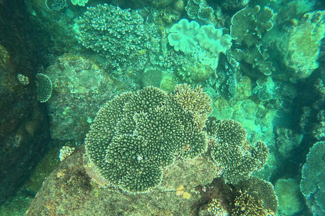 Snorkeling at Angel Rock - The Sum Up: Who Is This Tour For?