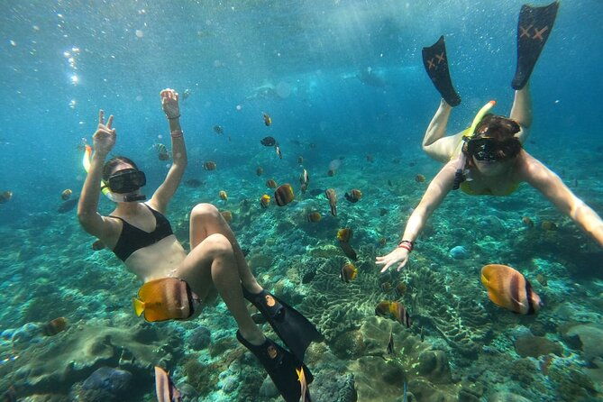Snorkeling In Nusa Penida Island With Manta Ray From Bali - FAQs