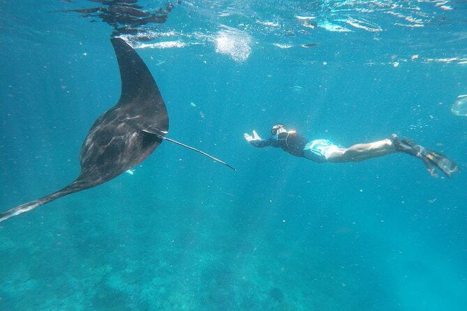 Snorkeling Manta Bay And West Penida Private Guided Tour - Food, Refreshments, and Comfort