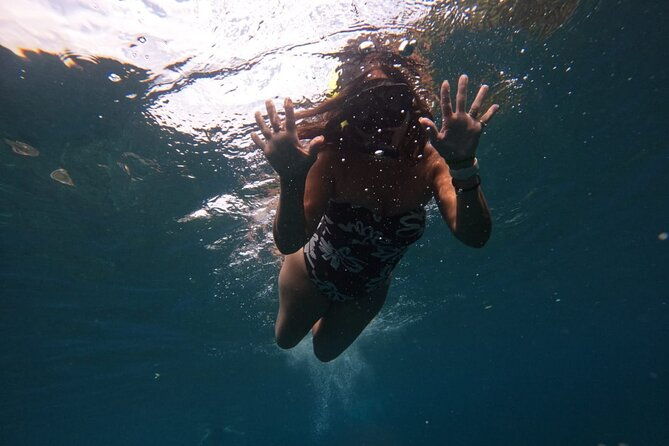 Snorkeling Nusa Penida and Island Tour Package - Who Will Love This Tour?