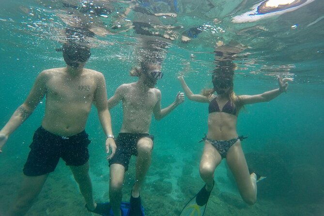 Snorkeling On Beautiful Rock Island - Unawatuna by Boat - The Marine Life and the Underwater Experience