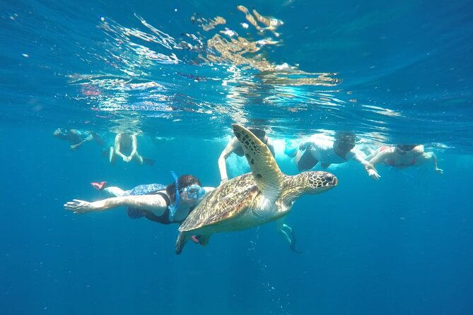 Snorkeling Tour In Gili Islands Pick Up From Lombok Or Gili - The Experience of the Guides and the Boat