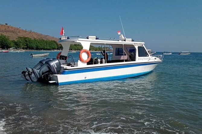 Snorkeling Trip to Menjangan Island - Equipment & Facilities