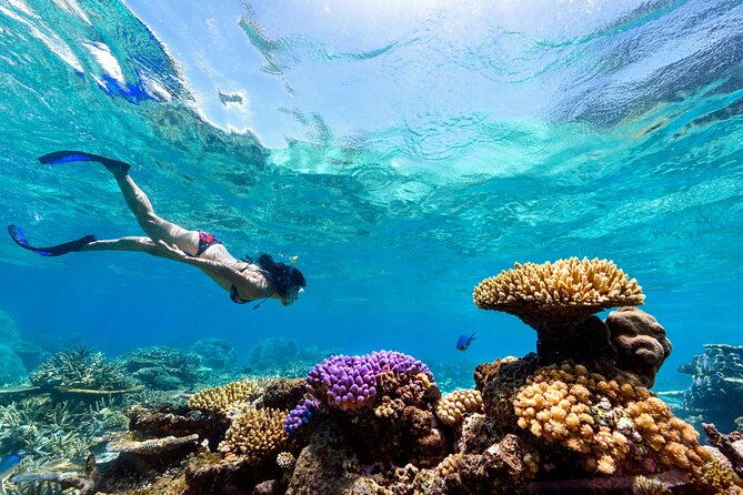 Snorkeling with Manta Rays in Nusa Penida Experience (All-Inclusive) - Who Is This Tour Best For?
