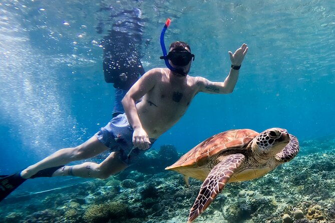 Snorkeling with turtle and statue in Gilis - Duration and Flexibility