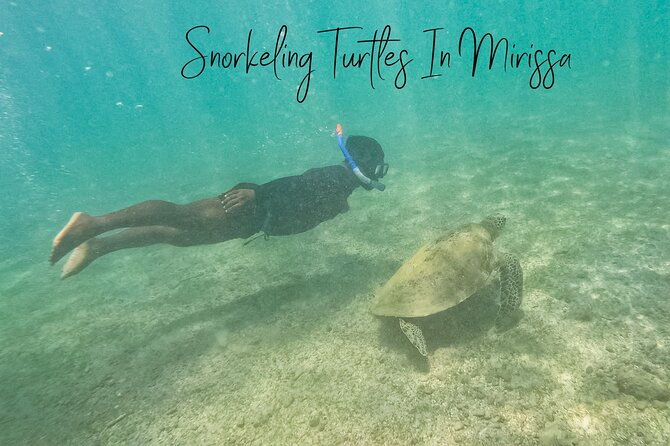 Snorkeling with Turtles in Mirissa - Why This Tour Stands Out