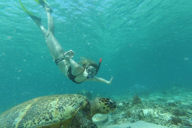 Snorkeling with Turtles on Gili Trawangan - The Authentic Experience