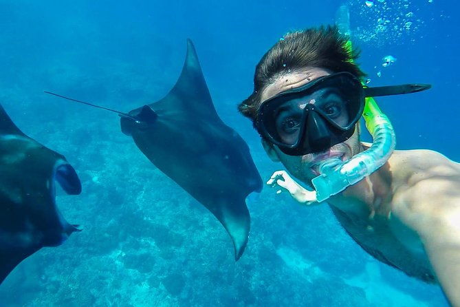 Snorkelling in Nusa Penida - Manta Point - The Food and Refreshments