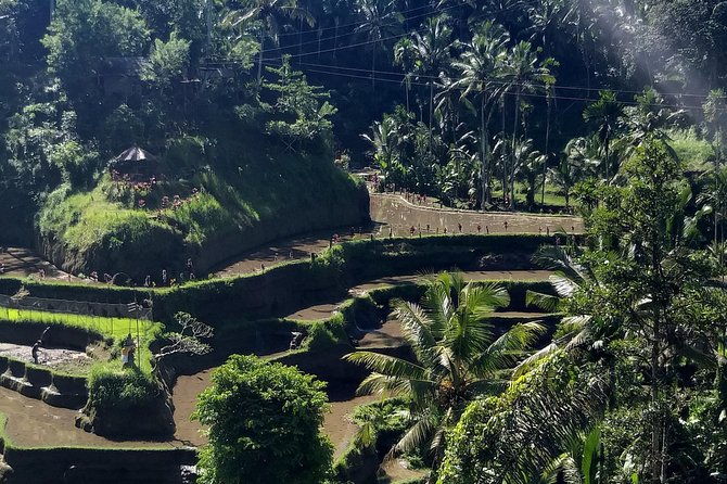 Spectacular Eastern Bali Tour - Final Thoughts: Is This Tour Right for You?