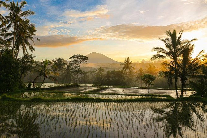 Spiritual Journey with private purification ceremony, local priest - Ubud - Who Should Consider This Tour?