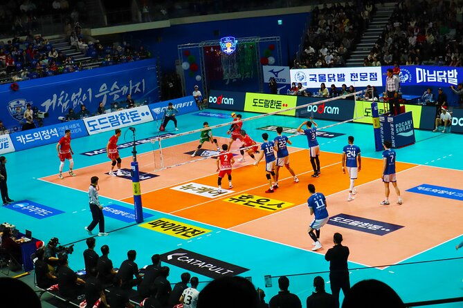 Sports Match in Seoul with Guided K-Food Experience - The Sum Up