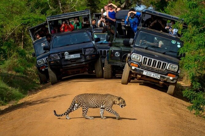 Sri Lanka Private 8-Day Guided Tour with Pickup from Colombo - FAQs