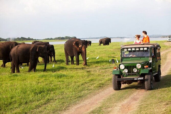 Sri Lanka; Professional Chauffeur Guide With Modern Vehicles - Final Thoughts